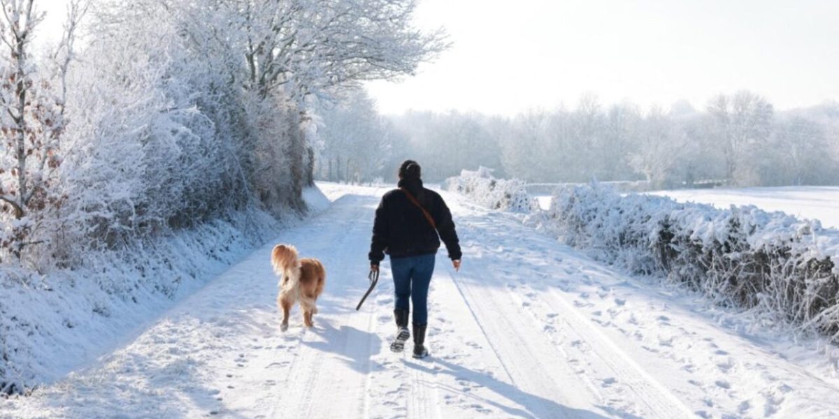 Snowfall in Paris and Northern France, Orange Alert Issued