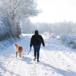 Snowfall in Paris and Northern France, Orange Alert Issued