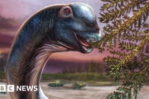 Thailand Discovers 27-Ton Giant Dinosaur, Largest in SE Asia