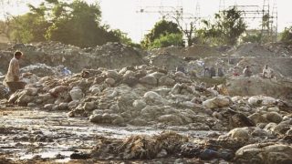 Punjab Imposes Rs50,000 Fine for Eid Animal Waste